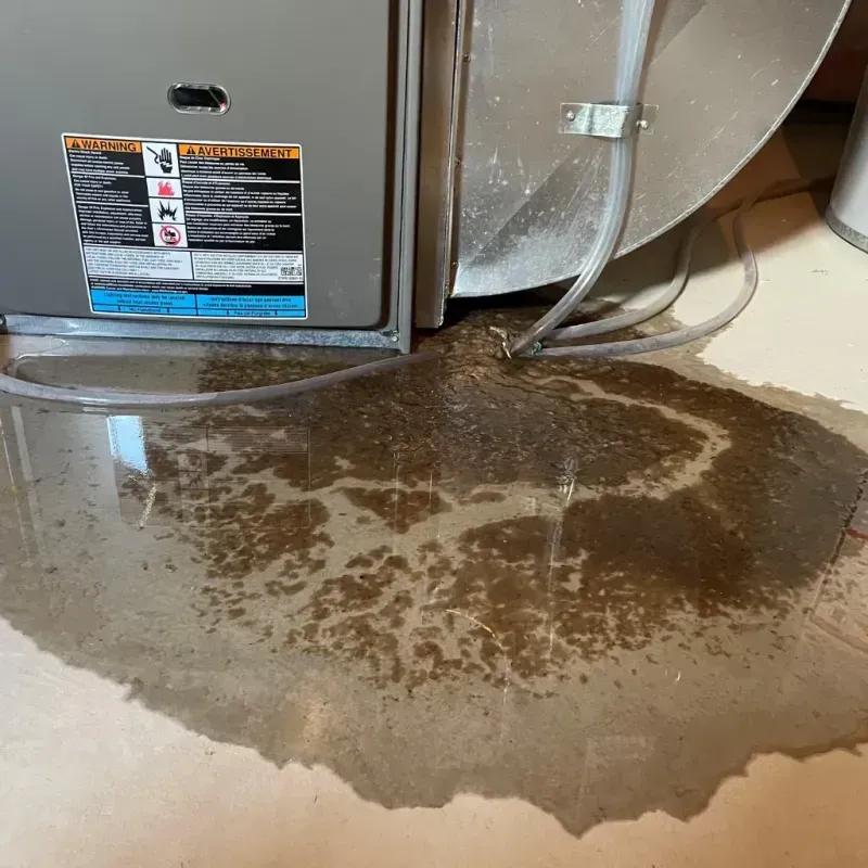 Appliance Leak Cleanup in Manatee County, FL